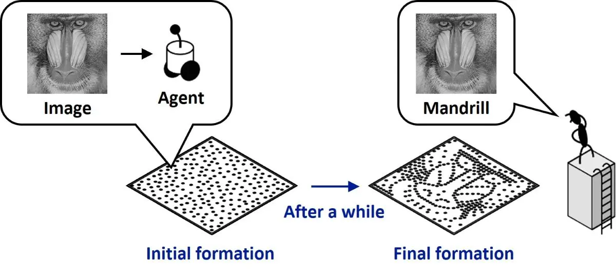 Multi-agent mass game